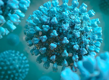 Il virus della disinformazione