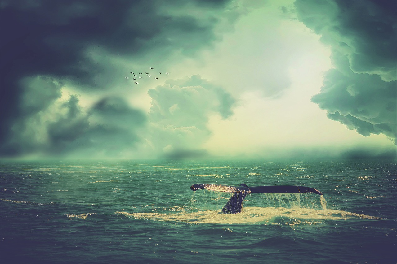 La balena gialla, la democristianizzazione del M5S