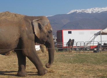 Rieti: il circo bloccato