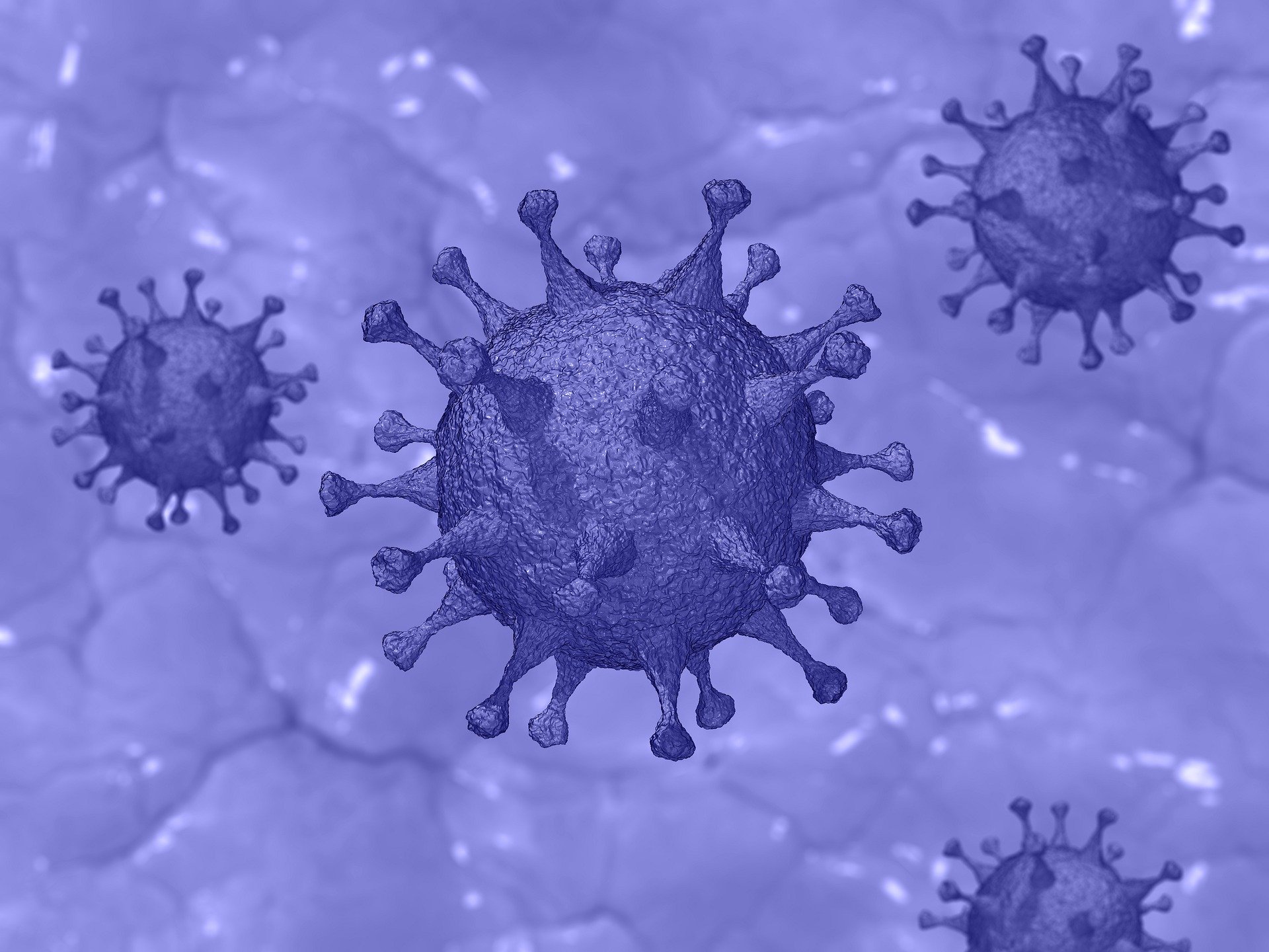 Vaccini: produzione propria