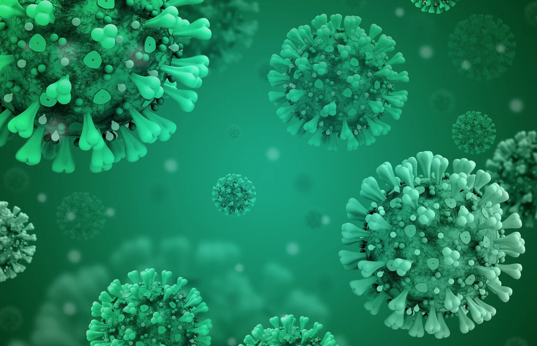 Morti di Covid, statistiche e dubbi