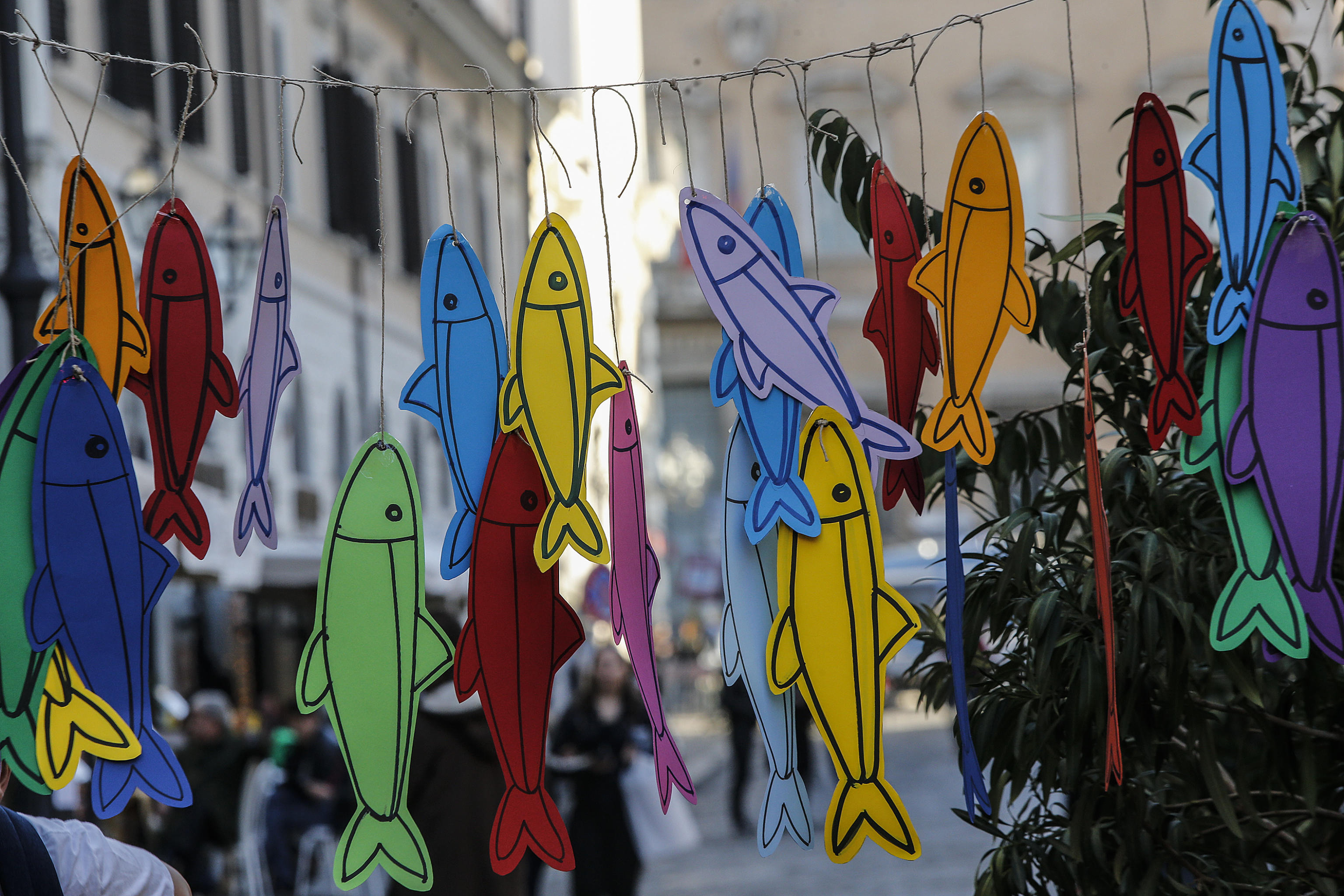 La disperazione delle Sardine