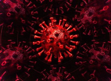 Obbligo vaccinale: massima prudenza