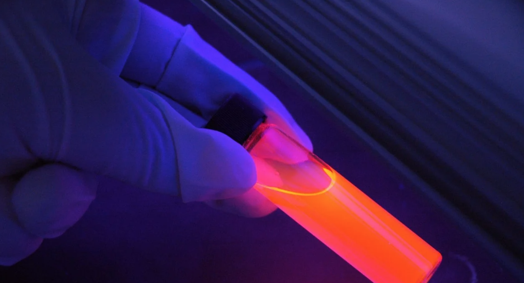 A proposito di esperti