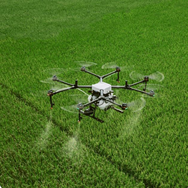 Ottimizzare le piccole aziende agricole del Mediterraneo