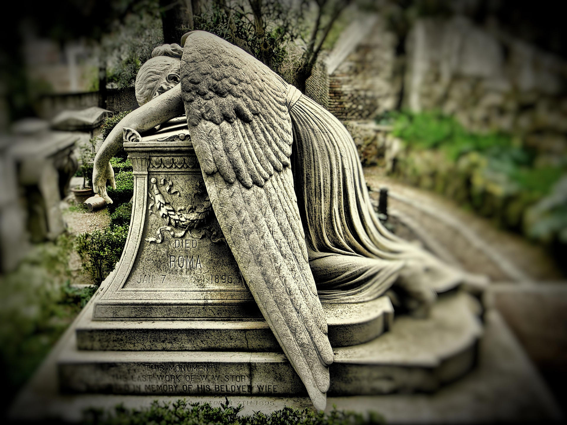 Cimiteri di Roma: la vergogna non è sepolta