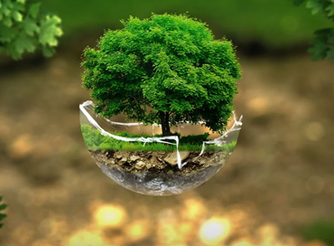 Oltre la pandemia: conversione ecologica e futuro