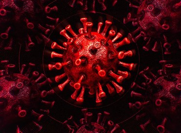 Il virus tra suggestione e realtà: la conta dei morti