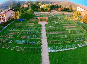 Lo sviluppo dell’agricoltura nei contesti urbani