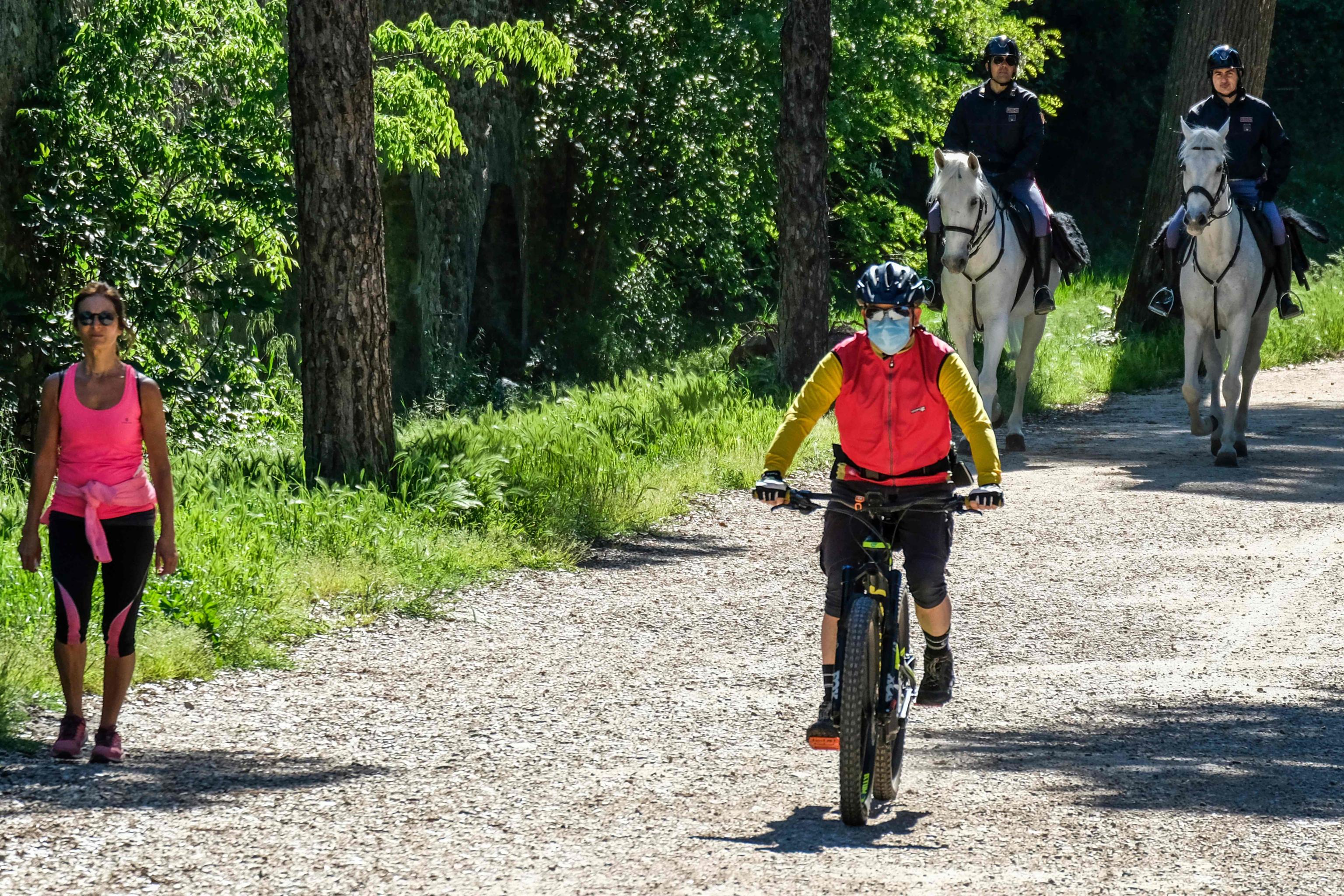 Istat: fiducia famiglie e imprese ai livelli pre-Covid