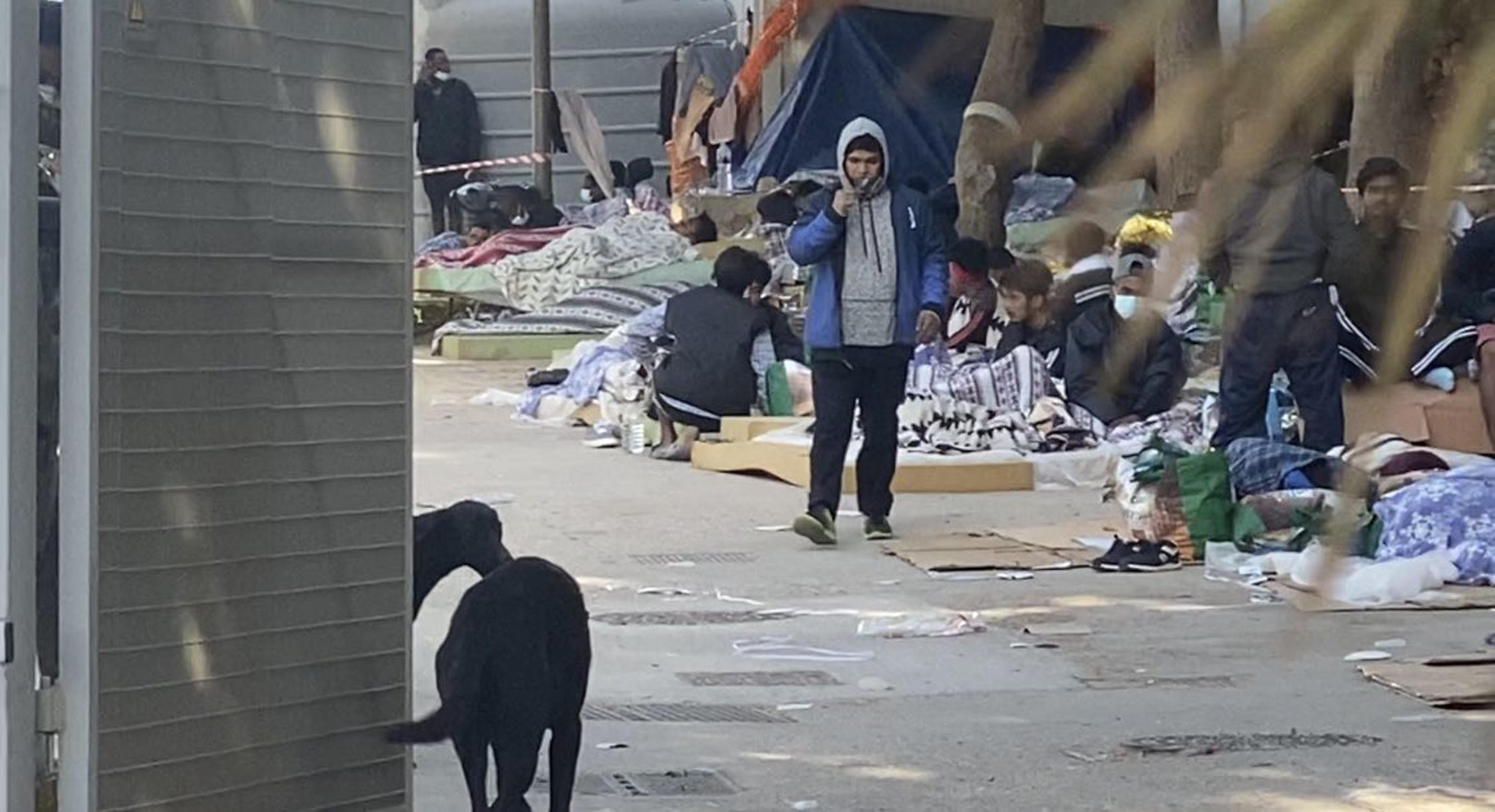 Un grido di dolore in malafede