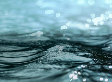 Oceani e salute: pensavamo di rimanere sani in un mondo malato