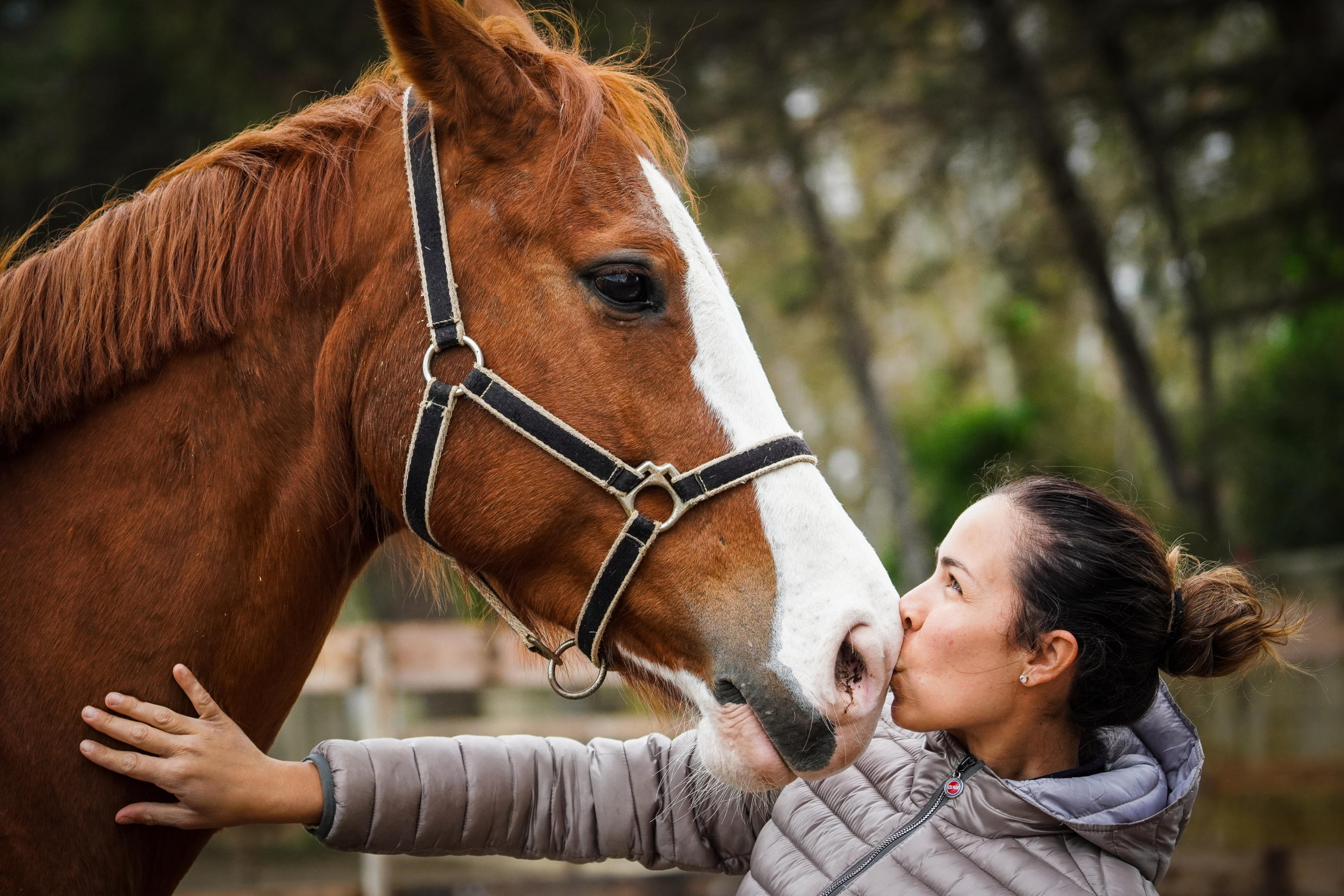 L’importanza della Pet therapy