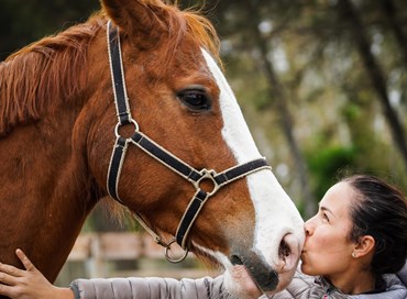 L’importanza della Pet therapy