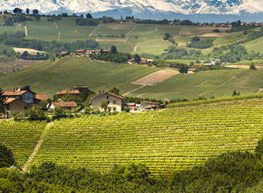 Logistica e digitale nel settore agroalimentare: le Langhe