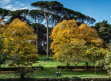 Roma, città “green” tra manutenzioni mancanti e ritardi
