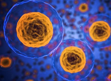 Energia: le cellule di tutti gli esseri viventi sono circuiti oscillanti
