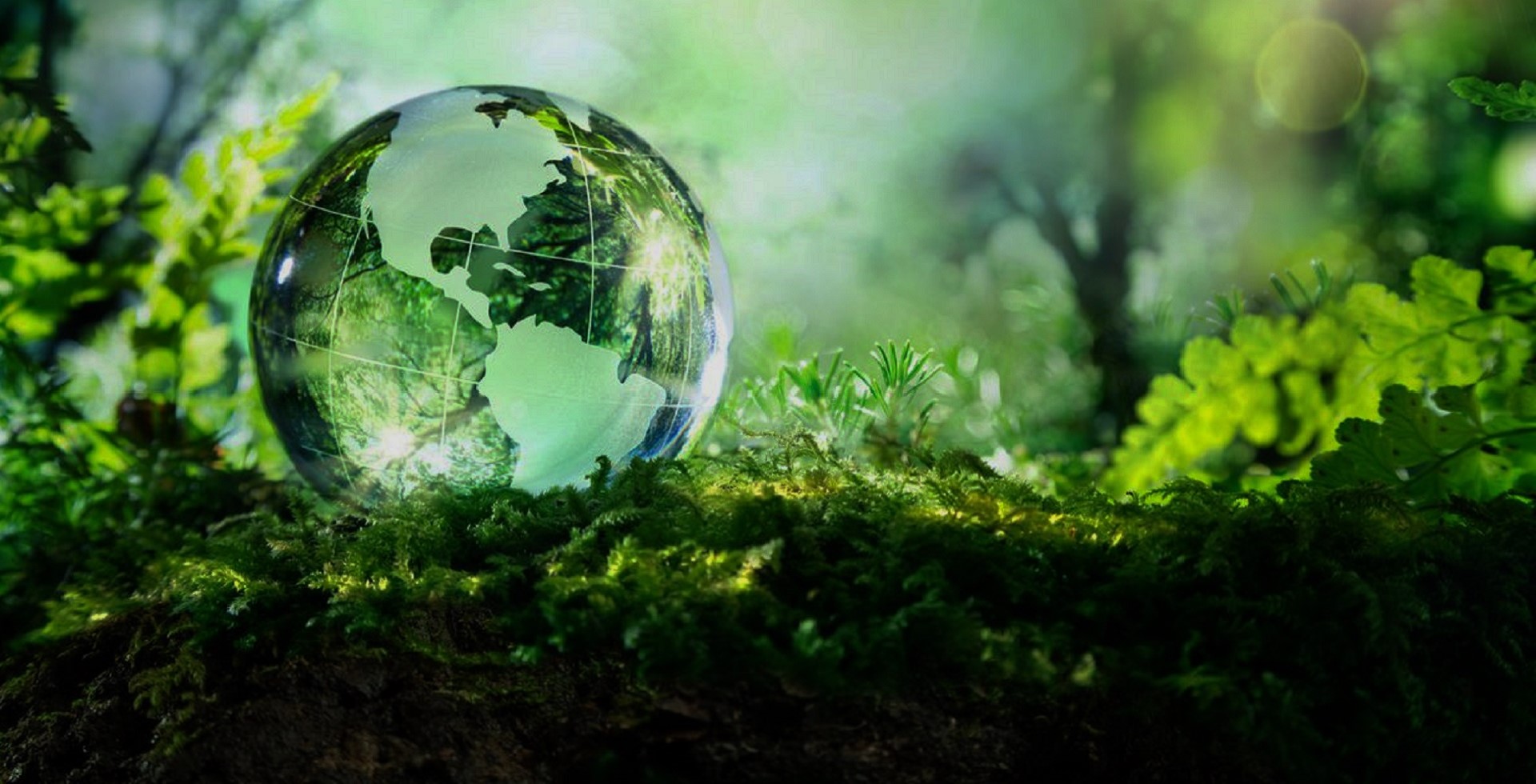 Mercati: obiettivo sostenibilità ambientale (video)