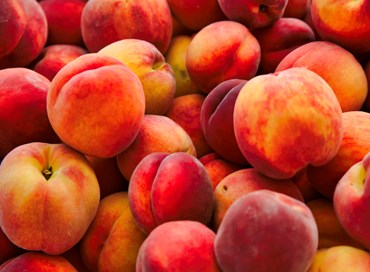 La Mostra delle pesche di Bussolengo