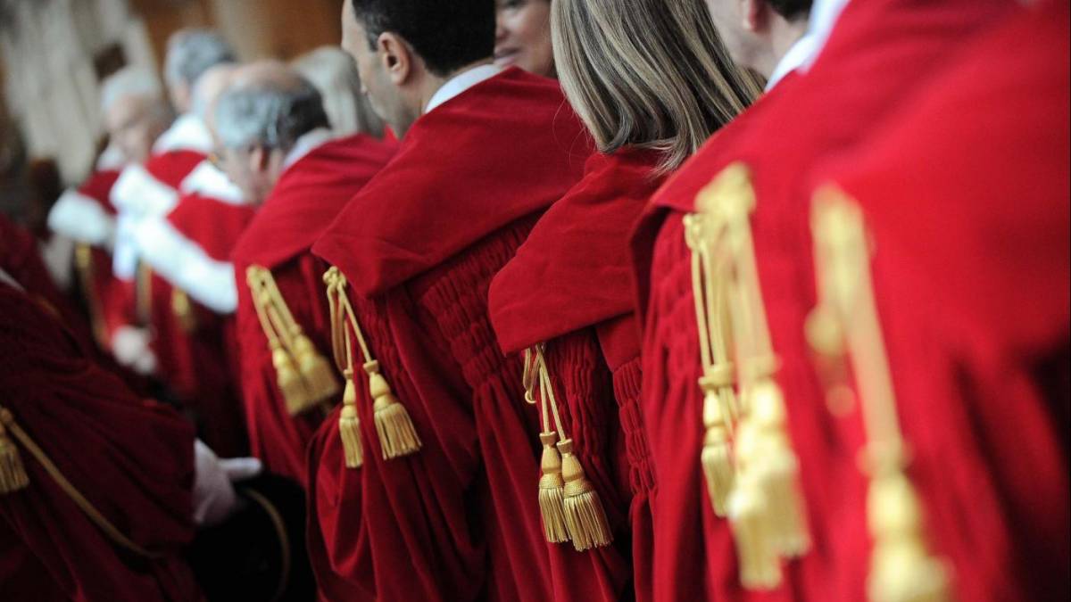 La voragine togata (video)