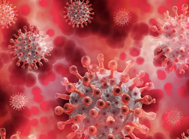 Restare a Kabul e i due virus