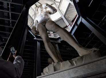 Il culo nudo del David