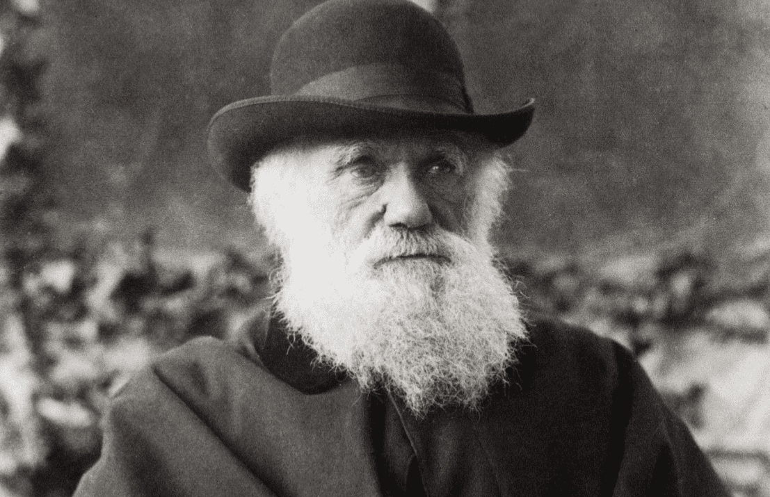 Concorrenza sociale e concorrenza naturale