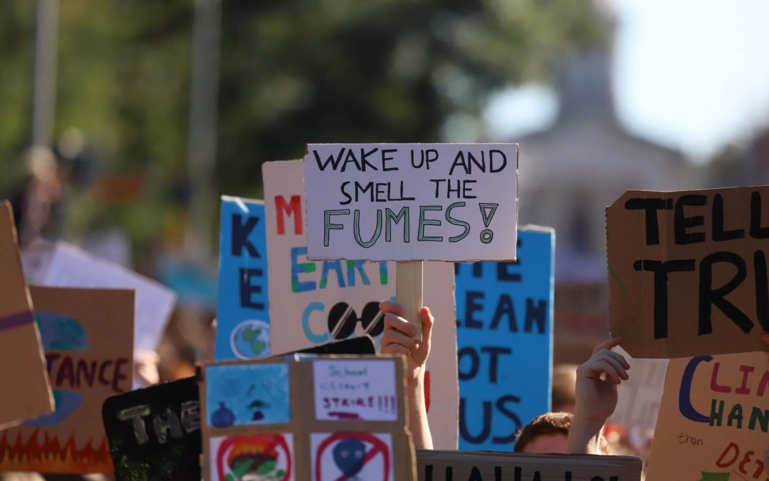 Transizione: ecologica o ideologica?