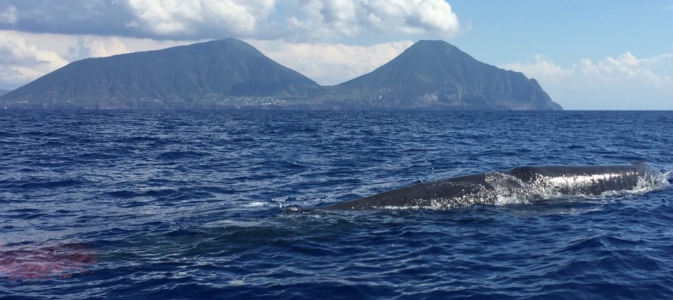 Stanno uccidendo il mare, non solo alle Isole Eolie