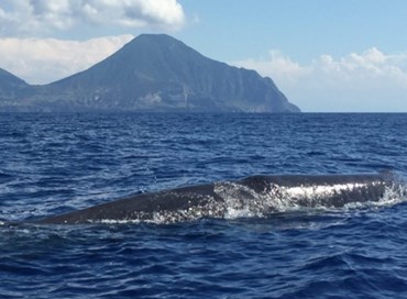 Stanno uccidendo il mare, non solo alle Isole Eolie