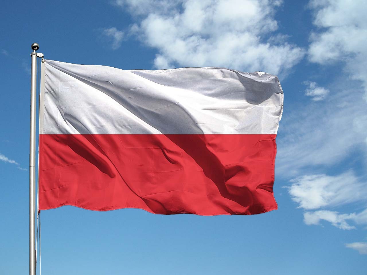 Polonia e cavilli