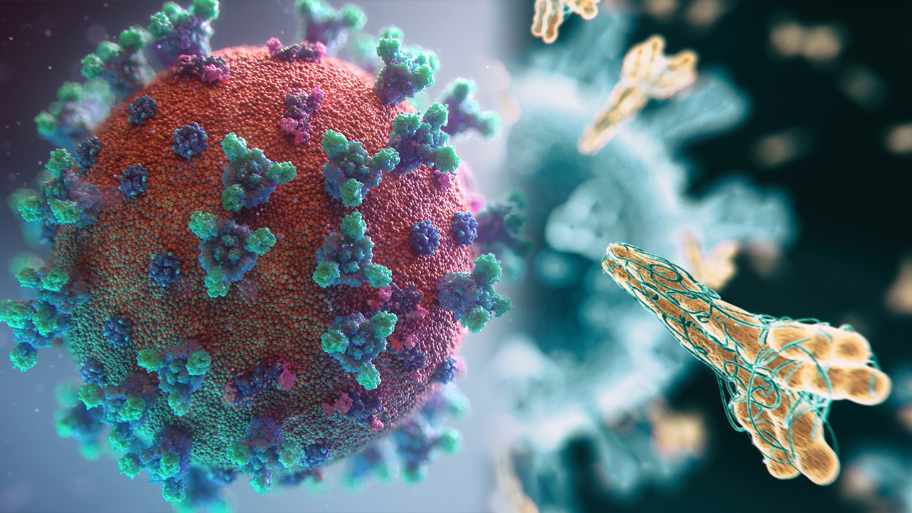 Obbligo o responsabilità (video)