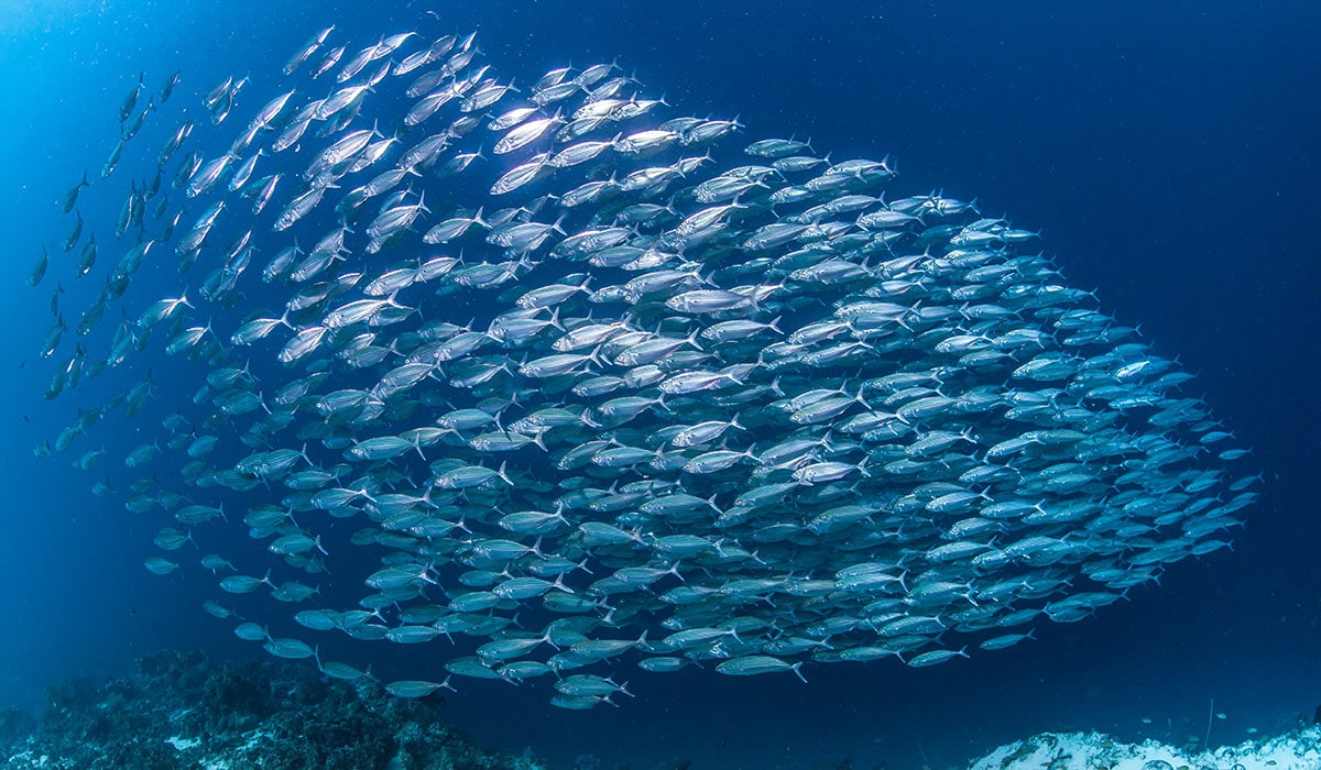 La crisi economica e il conflitto in Ucraina 