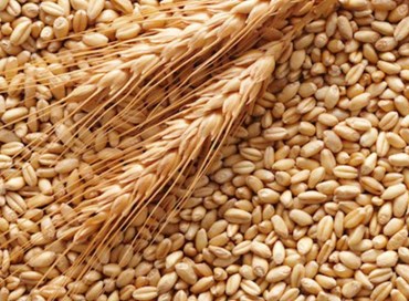 Schizza in alto il costo di pane e pasta