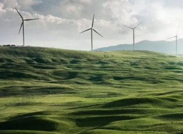 Con la riforma degli articoli 9 e 41 l’ecologicamente corretto entra in Costituzione