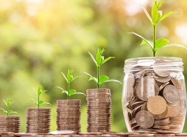 Se gli investimenti vengono sostituiti dai sussidi