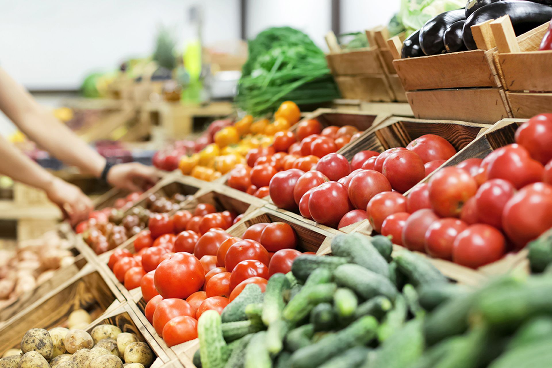 L’effetto della guerra sulla filiera dell’ortofrutta 