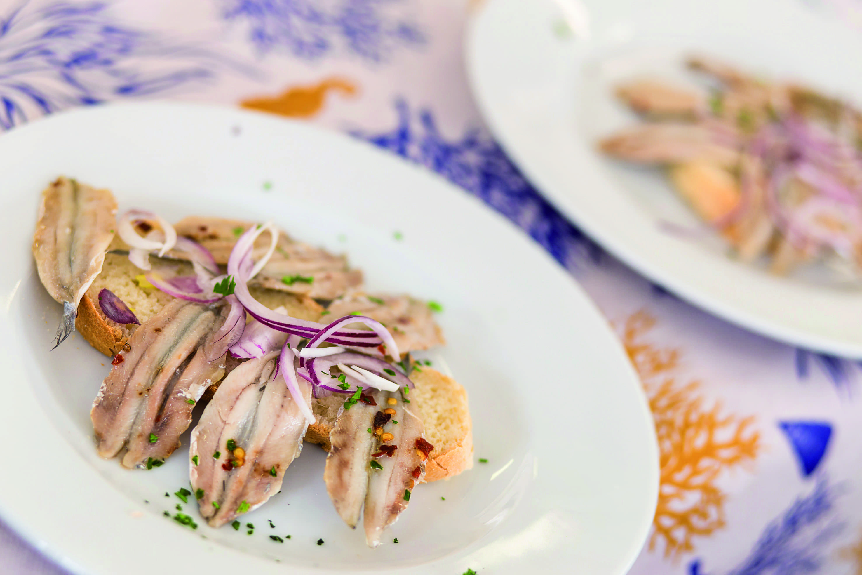 Il pesce azzurro e la rassegna gastronomica “Azzurro come il pesce”