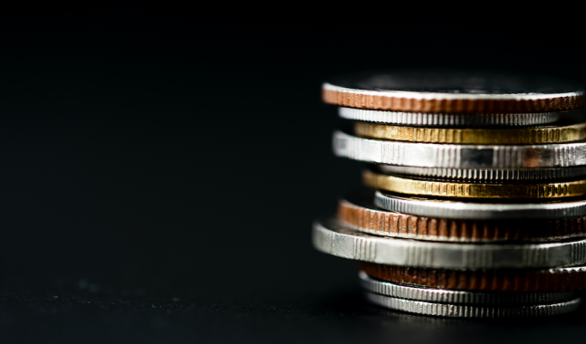 Elettori e contribuenti (video)