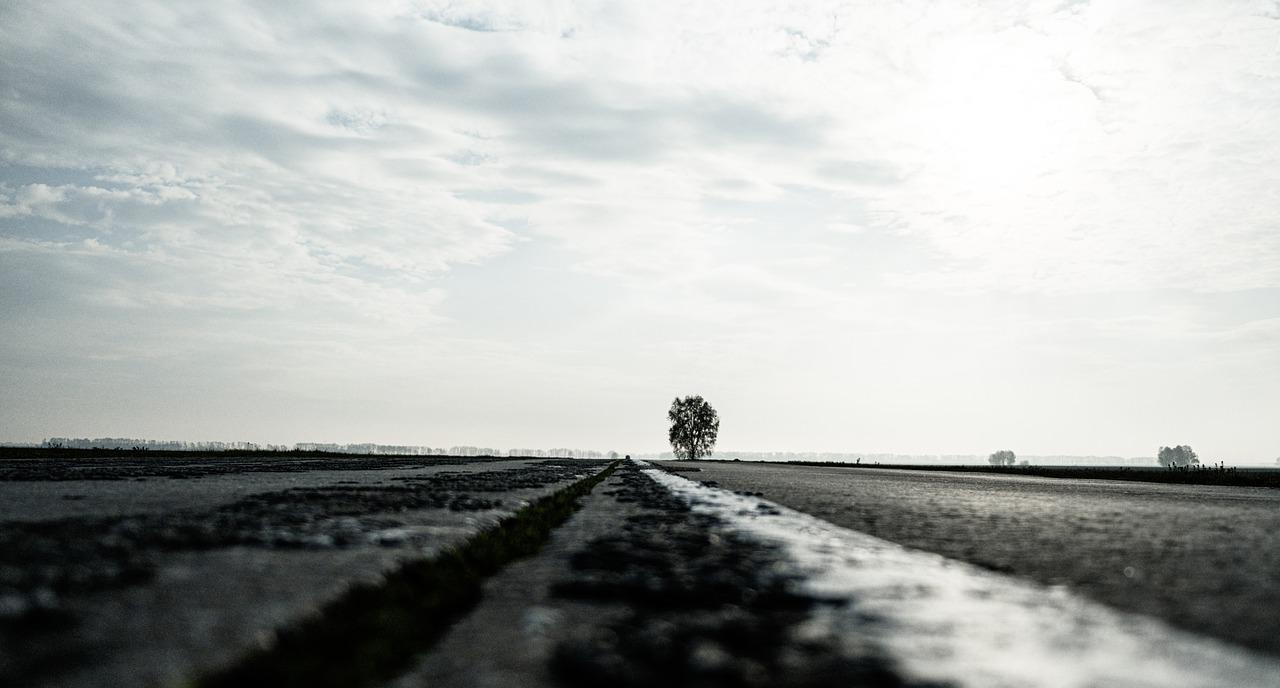 Rivogliamo il Gosplan 