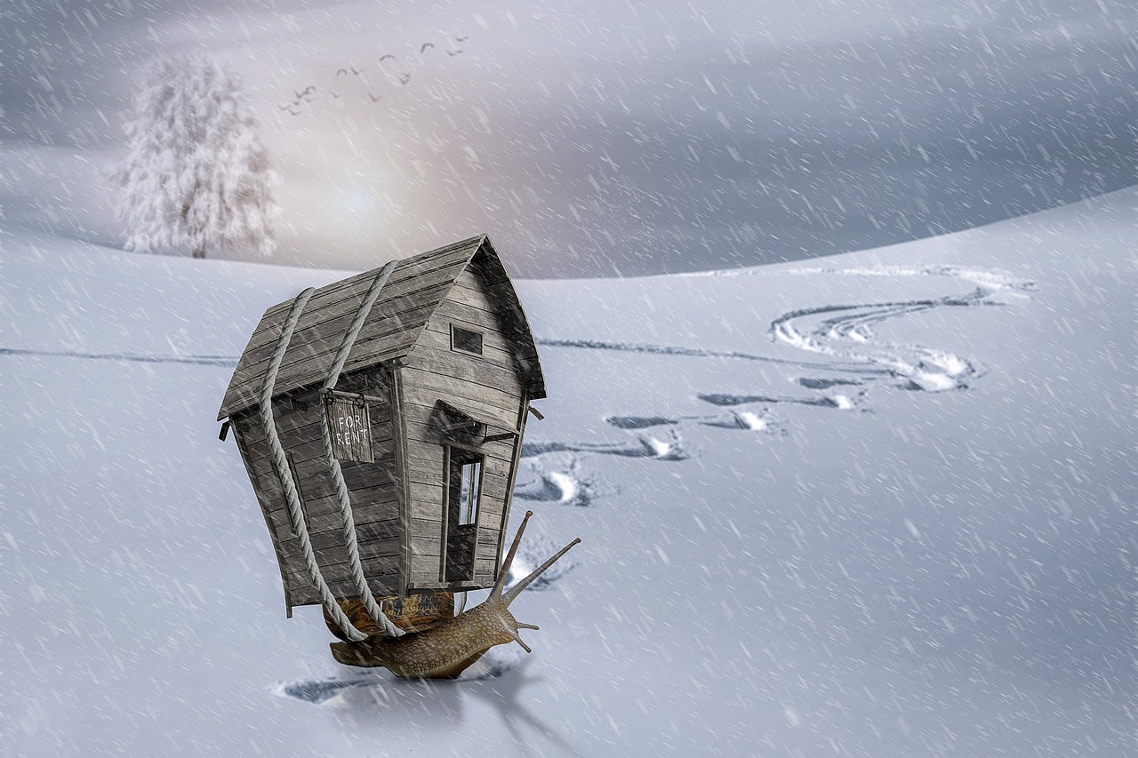 Draghi vuole nuove rendite, per farci cedere casa ai fondi