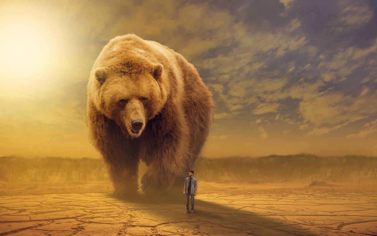 Fine dell’Occidente: il girotondo dell’Orso