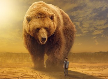 Fine dell’Occidente: il girotondo dell’Orso