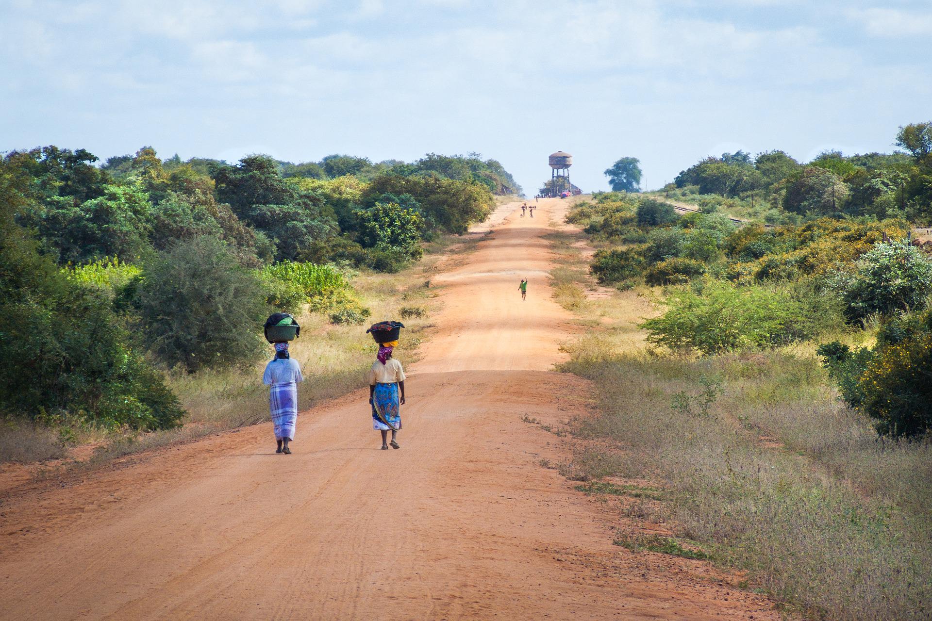 Il caffè per salvare la foresta in Mozambico