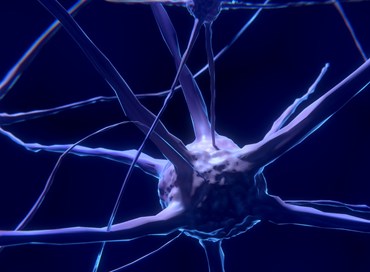 Per diagnosticare l’Alzheimer basta una risonanza
