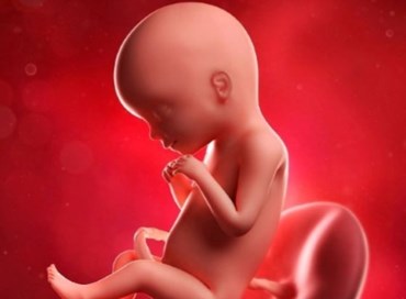 L’aborto