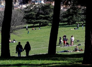 Pace, bene e volontà