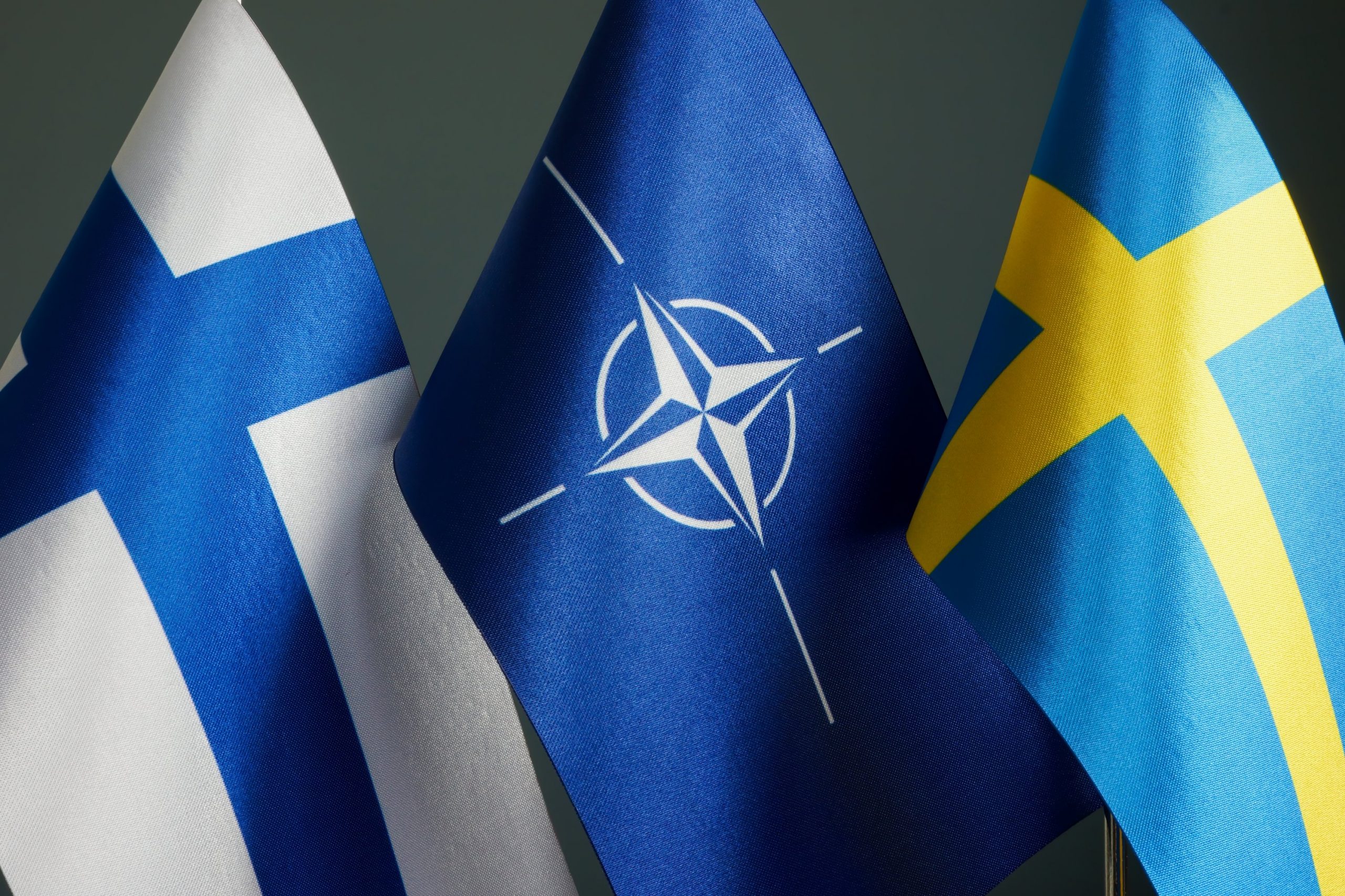 L’allargamento della Nato a spese dei Curdi