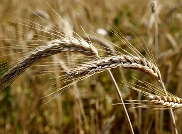 No, la nostra non è un’economia di guerra