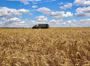 Crisi del grano: l’accordo